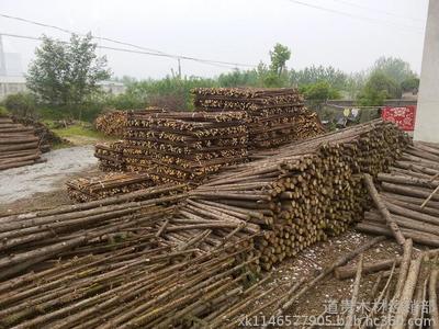 湖北有哪些常年销售木材的厂家图片_高清图_细节图-道贵木材经销部 -